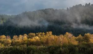 Fall Color Report - Klamath River and Berry Summit